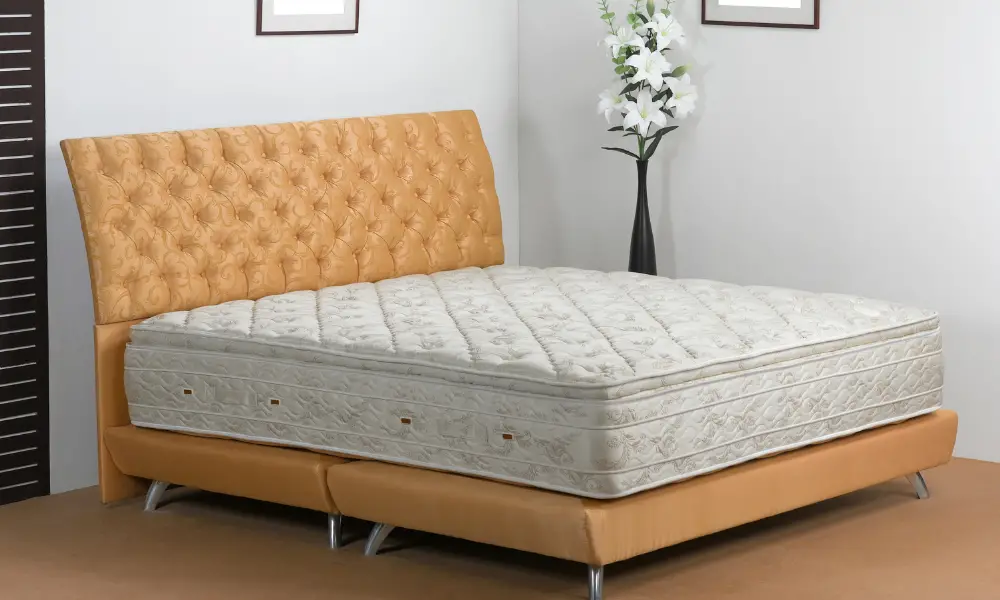 Hassleless Mattress photo