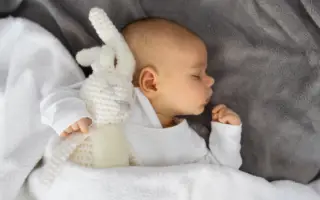 When Can Babies Sleep with Stuffed Animals photo