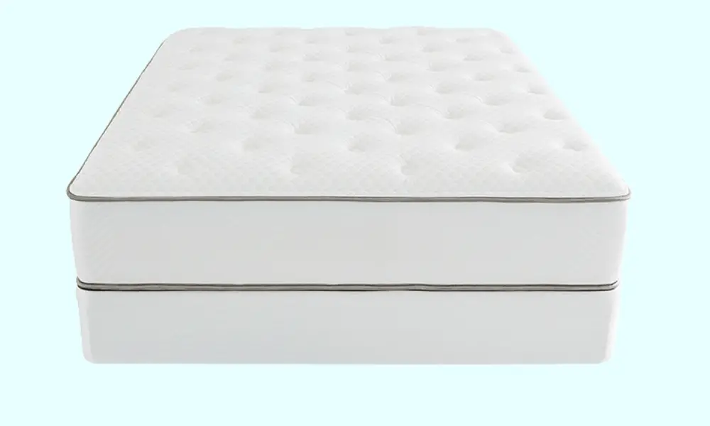 Ashaway Plush Mattress 1