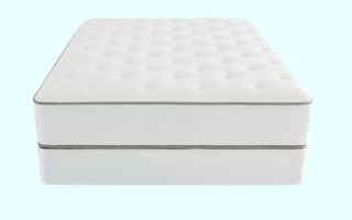 Ashaway Plush Mattress 1