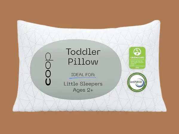 Coop Home Goods Breathable & Washable Bed Pillows For Kids photo