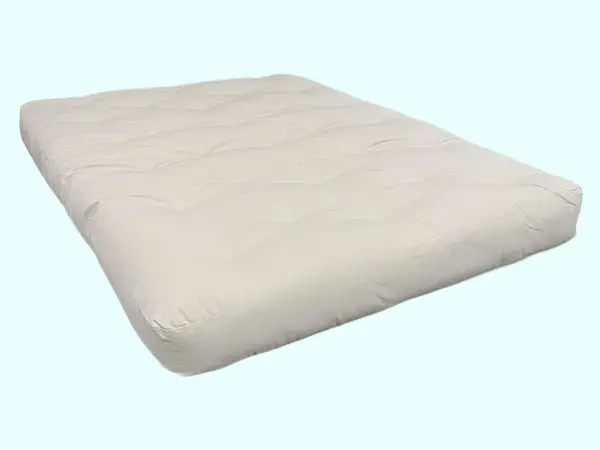 Gold Bond Futon Mattress Reviews photo 