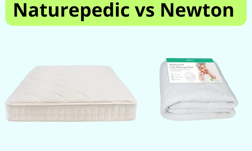 Naturepedic vs Newton Mattress photo