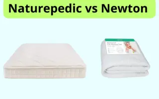 Naturepedic vs Newton Mattress photo