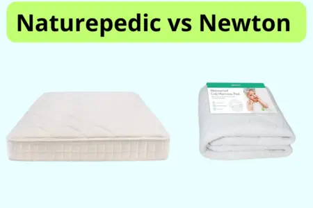 Naturepedic vs Newton Mattress photo