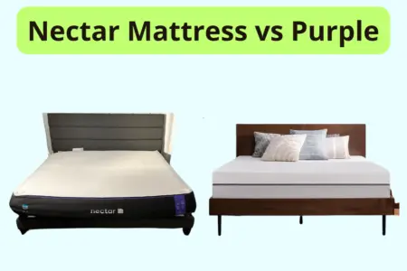 Nectar Mattress vs Purple photo