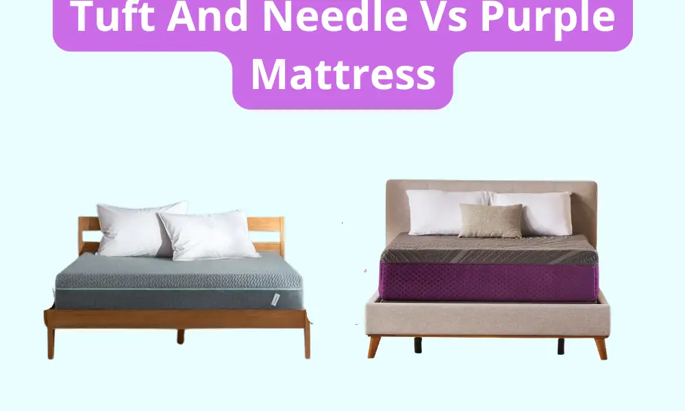 Tuft And Needle Vs Purple Mattress photo