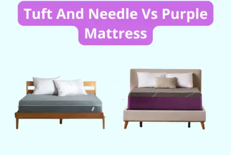 Tuft And Needle Vs Purple Mattress photo