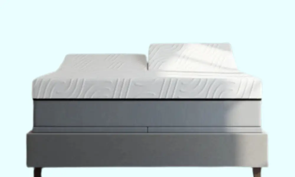 Posh and Lavish Mattress 1